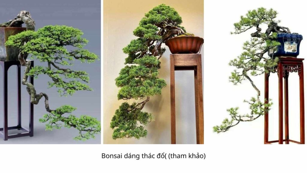 bonsai dáng trực (3)