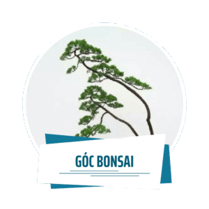 hình đại diện góc bonsai (3)